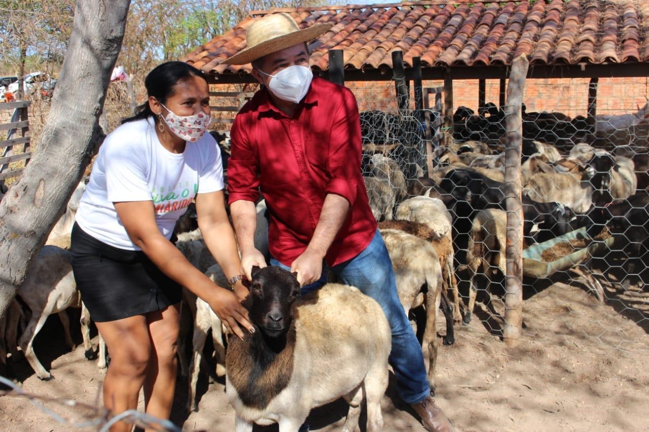 SAF Entrega Rebanho E Libera Recursos Para Agricultura Familiar Em