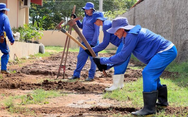 Reeducandos trabalham no cultivo de pomar no CSU do Parque Piauí