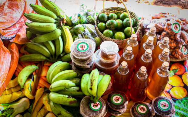 Produtos da agricultura familiar são comercializados na Quitanda promovida pela SAF